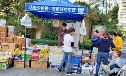 社區(qū)團(tuán)購轉(zhuǎn)向理性競爭，日用百貨銷售迎高質(zhì)量發(fā)展新機(jī)遇